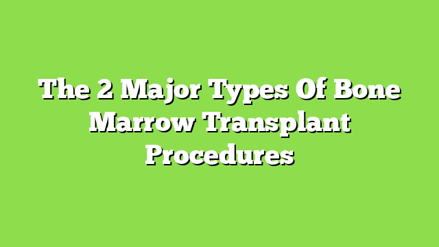 The 2 Major Types Of Bone Marrow Transplant Procedures
